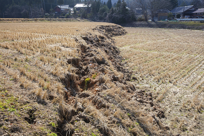 Noto Peninsula Earthquake 2024 A general view of a uplift on rice fields in Suzu, Ishikawa, Japan, March 16, 2024. A powerful magnitude 7.6 earthquake hit Japan s Noto Peninsula of Ishikawa Prefecture on New Year s Day, Monday, January 1, 2024.   Photo by MO Photos AFLO 