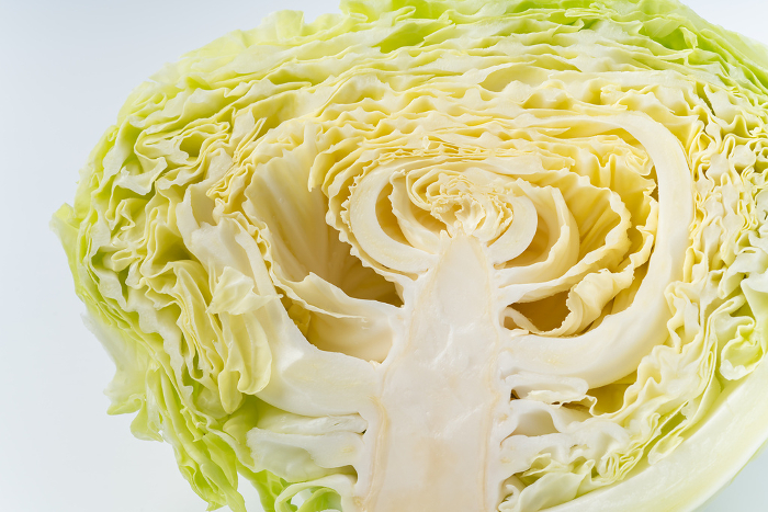 Close-up of cross section of half-cut cabbage