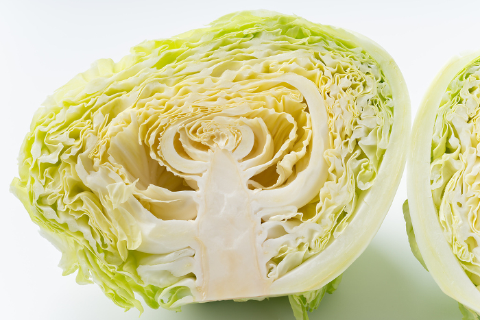 Close-up of cross section of half-cut cabbage