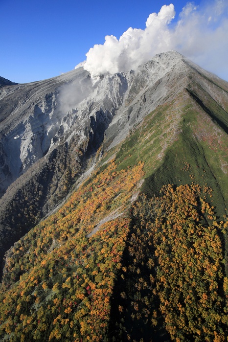Ontake volcanic eruption Ontake, with the summit area covered in volcanic ash contrasting with the beautiful autumn leaves. Ontake, with the summit area covered in volcanic ash contrasting with the beautiful autumn foliage, photographed at 4:22 p.m. on September 29, 2014, by Naosyugu Umemura from a Honsha helicopter.