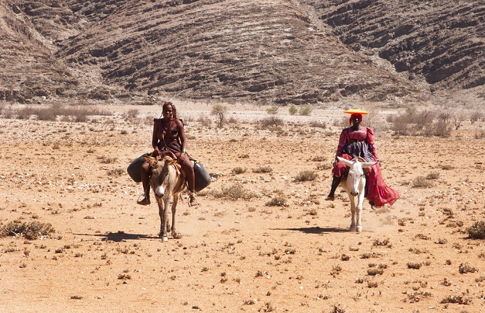 Africa Namibia Namibia Africa Northern Desert colorful Herero tribe woman and Himba woman riding mules herding goats in Tomakas in Puros Conservancy remote farming