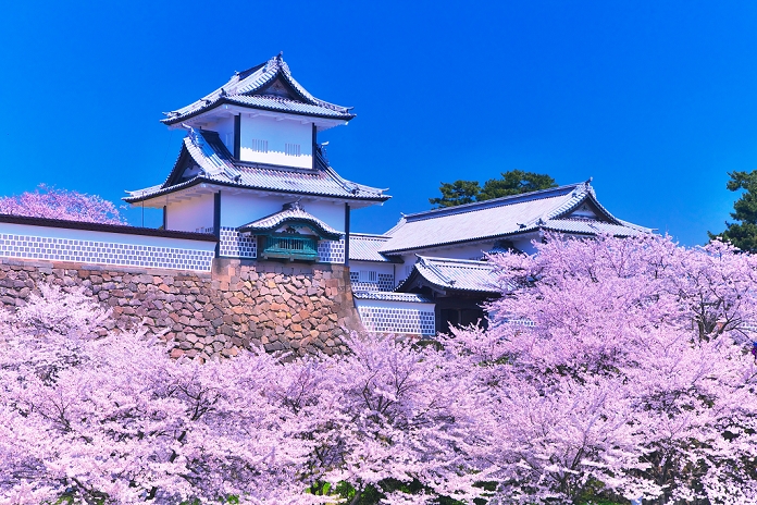 Ishikawa Ishikawa Gate in spring with cherry blossoms