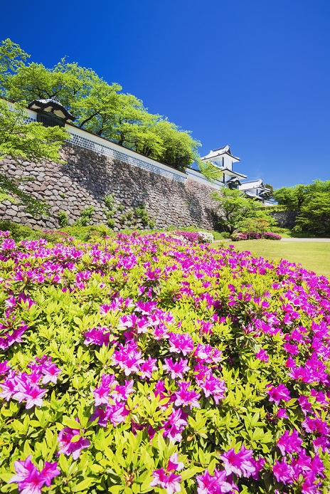 Kanazawa Castle, Ishikawa Prefecture