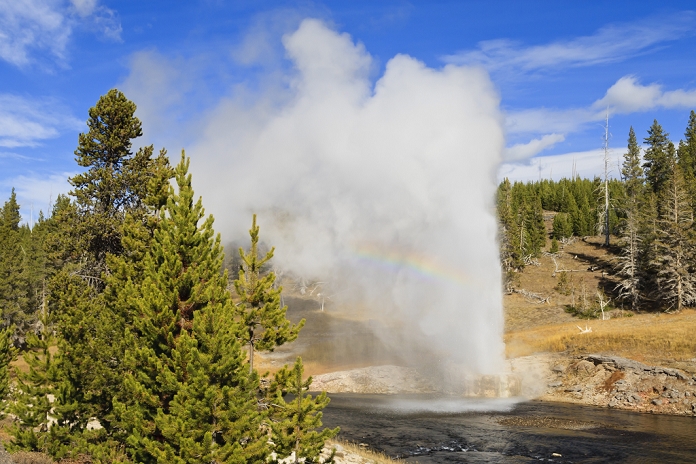 United States of America Eruption of Riverside Geyser, Firehole River, Upper Geyser Basin, Yellowstone National Park, UNESCO World Heritage Site, Wyoming, United States of America, North America by Eleanor Scriven