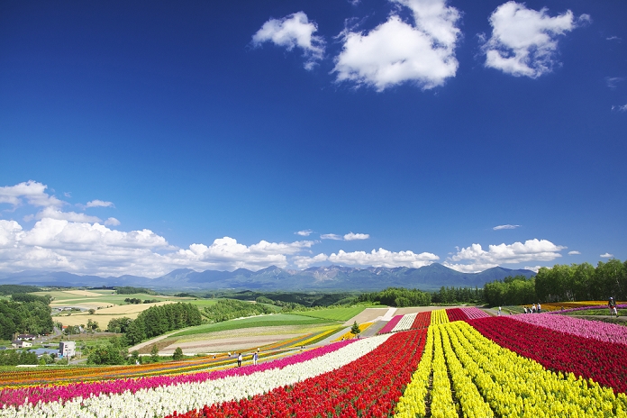 Hokkaido: Shikisai-no-oka and the Tokachi Mountain Range