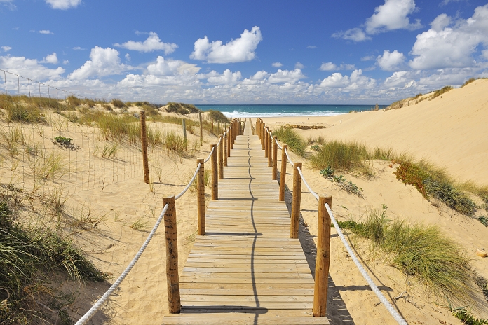 Wooden Walkway through Sand Dunes leading to Beach, Cascais, Lisboa, Portugal