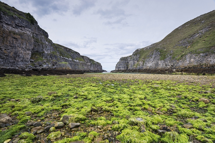 Geodha Smoo fjord during low tide, Durness, Northern Highlands, Scotland, United Kingdom, Europe
