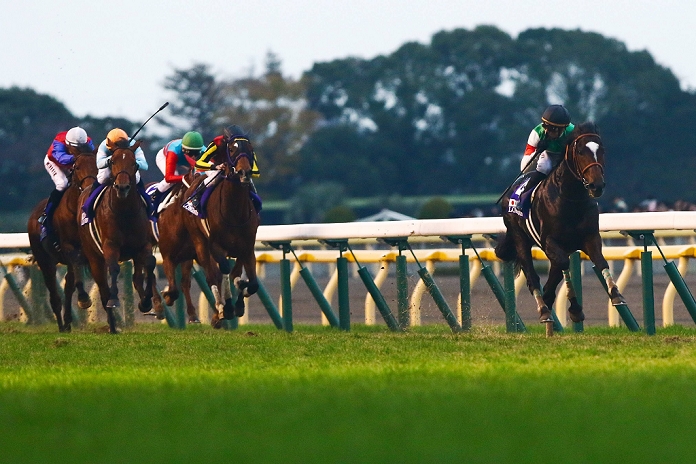 2014 Japan Cup  G1  Epifaneia won Epiphaneia  Christophe Soumillon , NOVEMBER 30, 2014   Horse Racing : Epiphaneia ridden by Christophe Soumillon wins the Japan Cup at Tokyo Racecourse in Fuchu, Tokyo, Japan.