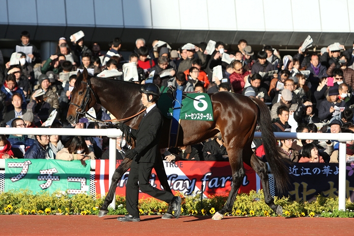 2014 Challenge Cup  G3  Tosen Stardom, DECEMBER 13, 2014   Horse Racing : Tosen Stardom is led through the paddock before the Challenge Cup at Hanshin Racecourse in  Photo by Eiichi Yamane AFLO 