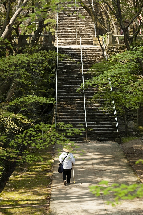 Neko-ji Temple, Sentein Temple, Shikoku 88 Sacred Sites (No.82), Takamatsu City, Kagawa Prefecture, Japan Stone steps