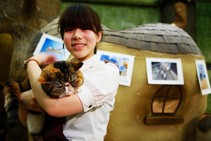 Cat caf  with tree house Popular in Tokyo January 15, 2015, Tokyo, Japan : A staff holds a cat at the  Temari No Uchi  Cat Cafe in Tokyo, Japan. Temari No Uchi, a Neko Cafe  cat cafe  based in Kichijoji where visitors can watch and interact with 19 cats whilst eating or having a coffee break. The store opened in April 2013 and allows to customers to play with cats and to escape from the stresses of the city life. The entrance fee is 1200 JPY  9.75 USD  on weekdays and 1600 JPY  12.99 USD  on weekend with discounts after 7pm. Drinks and food are charged separately. According to the shop staff most visitors are Japanese women but also men and children visit this cafe. The fist cat cafe in the world opened in Taipei, Taiwan in 1998, and the fist Japanese store was opened in Osaka in 2004.  Photo by Rodrigo Reyes Marin AFLO 