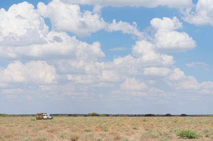 Central Kalahari Botswana