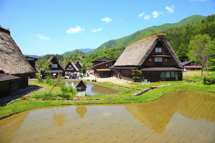 Shirakawa-go, Gifu Prefecture, Gassho Village and rice paddies