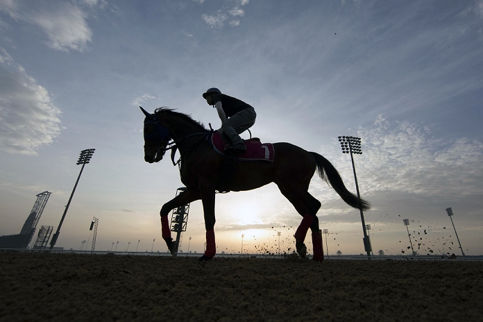 UAE Derby Pre Training Dear Domus  Kosei Miura , MARCH 25, 2015   Horse Racing : Japanese horse Dear Domus ridden by Kosei Miura trots during the early morning Workout at the Meydan race course in Dubai, United Arab Emirates.