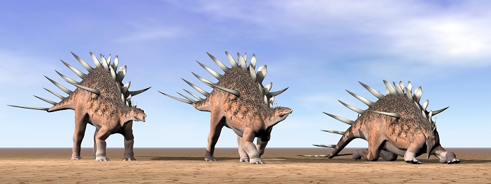 Three Kentrosaurus dinosaurs standing in the desert.