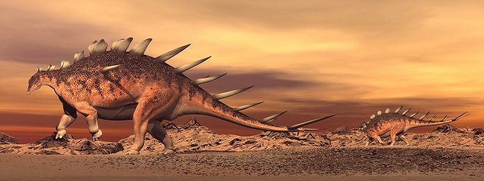 Kentrosaurus mother and baby walking in the desert by sunset.