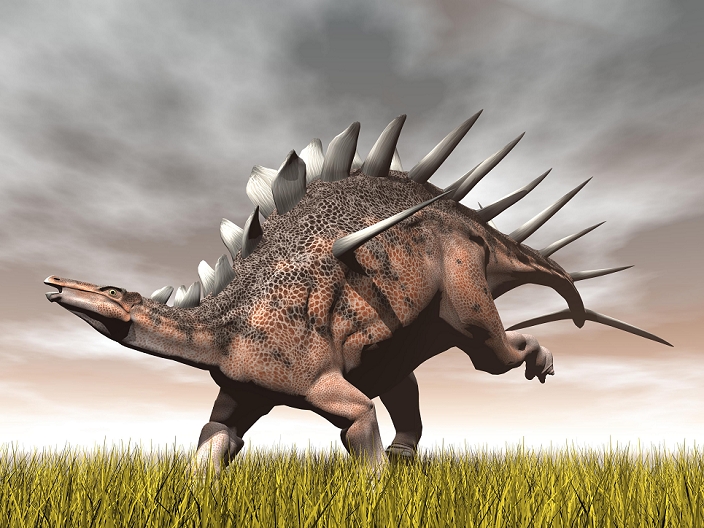 Kentrosaurus dinosaur running on the yellow grass.