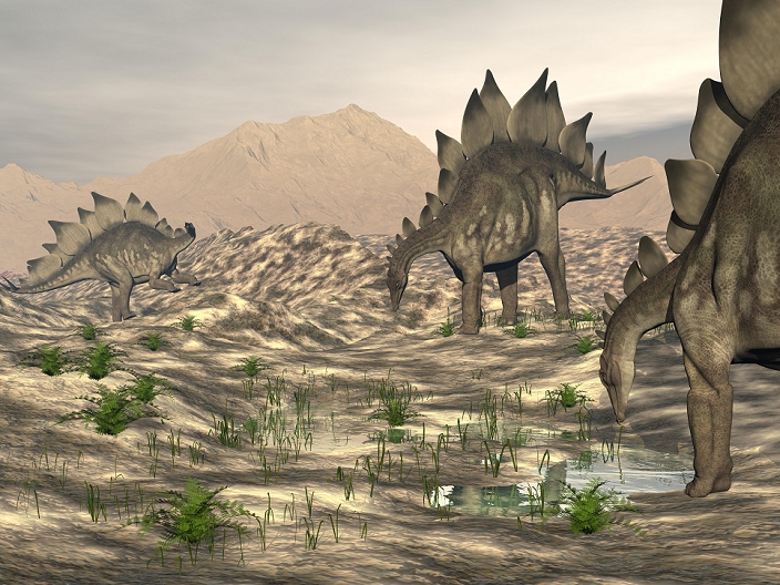 Stegosaurus dinosaurs searching for water in a desert landscape.
