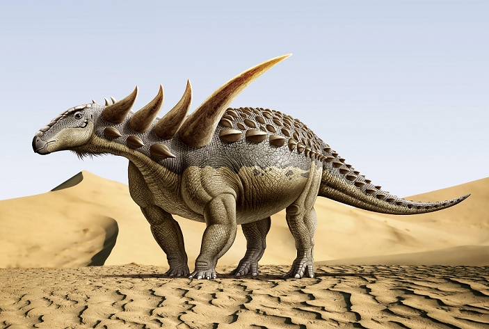 Sauropelta, a nodosaurid dinosaur from the Cretaceous Period.