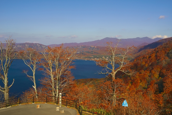 Autumn Leaves of Lake Towada