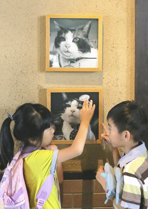Tama Station Chief  goes to heaven Popular Cats at Kishi Station Children look at a photo of Tama Station Chief posted at Kishi Station in Kinokawa City, Wakayama Prefecture, at 10:08 a.m. on March 25.