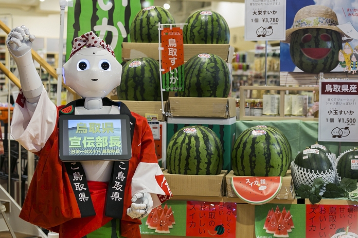 Pepper, a humanoid robot Tourism PR by dispatching personnel The humanoid robot Pepper debuted as a new member of staff at the   Tottori Okayama Shimbashi kan   store on July 1, 2015, Tokyo, Japan. The robot developed by SoftBank Corp. is programmed to interact with people and it is claimed that it can provide reception services in commercial establishments. Pepper will introduce the store s products and services to customers as a special employee for two days. The Tottori Okayama Shimbashi kan sells unique food and traditional handicraft products from Tottori and Okayama prefectures in western Japan.  Photo by Rodrigo Reyes Marin AFLO 