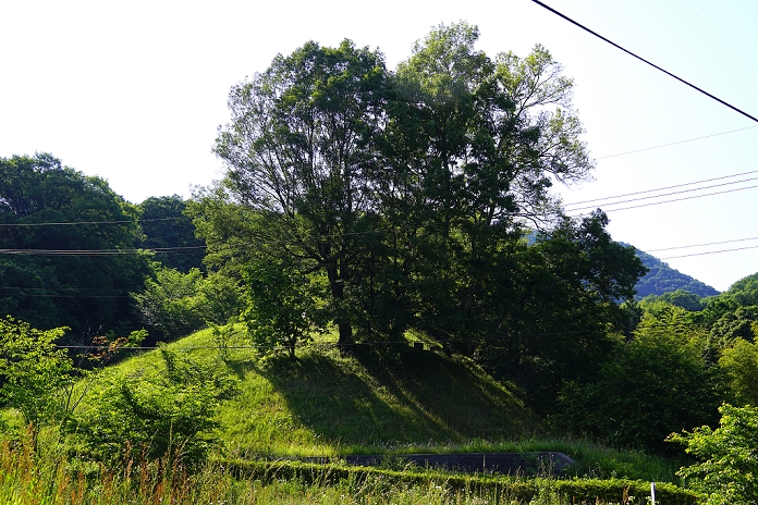 Toriyaguchi Tumulus, Nara Prefecture