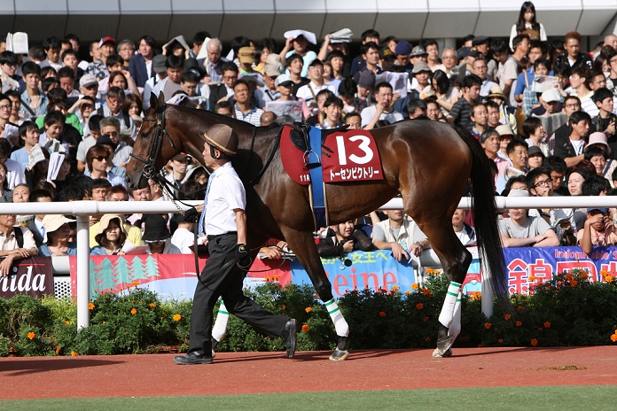 2015 Rose S  G2  Tosen Victory, SEPTEMBER 20, 2015   Horse Racing : Tosen Victory is led through the paddock before the Kansai Telecasting Corp. at Hanshin Racecourse in Hyogo, Japan.  Photo by Eiichi Yamane AFLO 