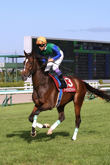 2015 Rose S  G2  Tosen Victory  Yutaka Take , SEPTEMBER 20, 2015   Horse Racing : Tosen Victory ridden by Yutaka Take before the Kansai Telecasting Corp. Sho Rose Stakes at Hanshin Racecourse in Hyogo, Japan.