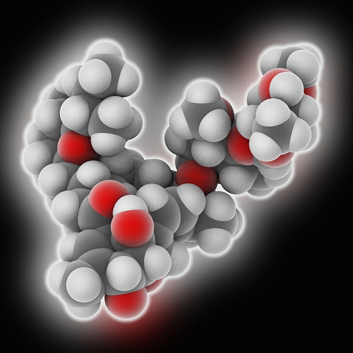 Ivermectin Molecular model  Date taken unknown  Ivermectin. Molecular model of the anti parasitic drug ivermectin  C48.H74.O14 . This drug is used as a broad spectrum treatment for parasitic worms. Atoms are represented as spheres and are colour coded: carbon  grey , hydrogen  white  and oxygen  red .