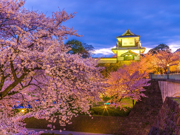 Kanazawa Castle, Ishikawa Prefecture, cherry blossoms