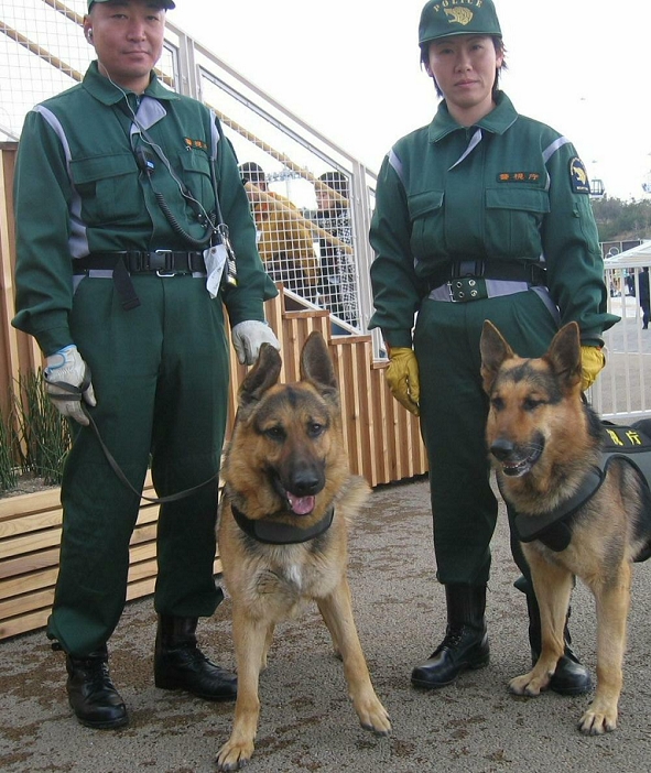 Lester  own company  at Aichi Expo 2005 Aichi Expo In order to prevent terrorist acts against the Aichi Expo, police dog Lester  left  of the Metropolitan Police Department, which found Yuta in a landslide after the Chuetsu Earthquake in Niigata Prefecture, was also deployed. 2005 03 25 date 20050325 place Expo 2005