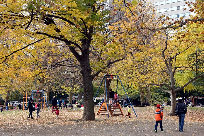 Autumn Foliage in Central Tokyo Footsteps of Winter Approaching December 6, 2015, Tokyo, Japan   Leaves are turning yellow and red at Tokyo s Hibiya Park as seasons change from late autumn to early winter on  Photo by Natsuki Sakai AFLO  AYF  mis 