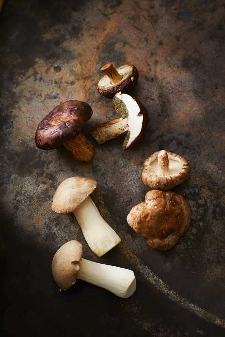 mushroom Bay Boletus, shitake mushroom and king trumpet mushrooms