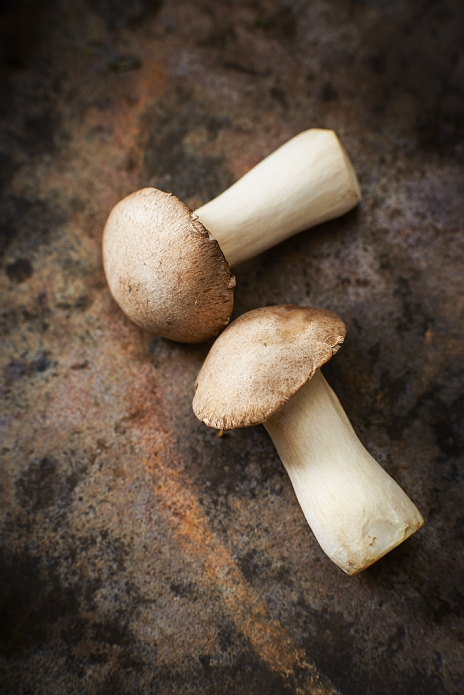 mushroom Two king trumpet mushrooms