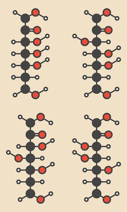 Common D-ketohexose sugars: psicose (upper left), fructose (upper right), sorbose (lower left), tagatose (lower right). Fischer-like projections. Stylized skeletal formula (chemical structure). Atoms are shown as color-coded circles: hydrogen (white), carbon (grey), oxygen (red).