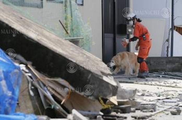 Kumamoto Earthquake Major damage in Mashiki Town Disaster rescue dogs search for people after a simultaneous search by support units begins in Mashiki Town, Kumamoto Prefecture, Japan, April 17, 2016, 1:40 p.m. Photo by Masashi Mimura