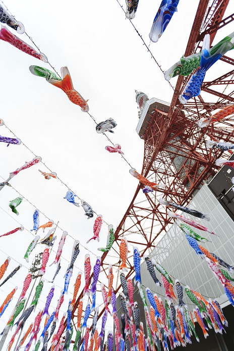 333 carp streamers Competing with Tokyo Tower 333 Koinobori  carp shaped windsocks or streamers  on display outside the Tokyo Tower to celebrate Childen s Day on May 2, 2016, Tokyo, Japan. Children s Day, formerly known as   Boys Day,   takes place annually on May 5 during the Golden Week holiday to celebrate healthy growth and well being of children. It has been said that carp was chosen because of its strong and energetic nature, which are desirable traits for boys.  Photo by Rodrigo Reyes Marin AFLO 