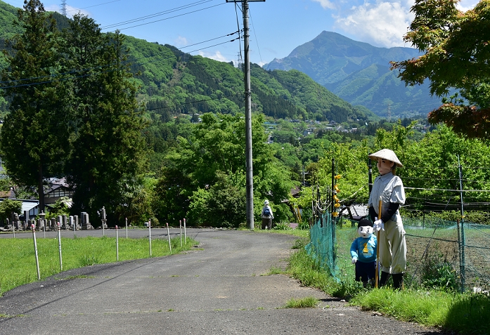 Scarecrows Play a Role in Revitalizing a Village Old post village in Arakawa, Chichibu City May 4, 2016, Chichibu, Japan   Japanese version of Cabbage Patch Kids or life size stuffed dolls greet visitors to Niegawa Juku, an old post station in the village of Arakawa, some 75 km northwest of Tokyo in the mountainous Chichibu area, on Wednesday, May 4, 2016. A group of some 20 female villagers, all in the 60s, creates the scarecrows with waste articles, some in the appearance of working farmers and others playing kids, to scare off vermin in one hand and draw tourists on the other to this village of some 120 inhabitants. The group is aiming to make as many as 100 of them.  Photo by Natsuki Sakai AFLO  AYF  mis 