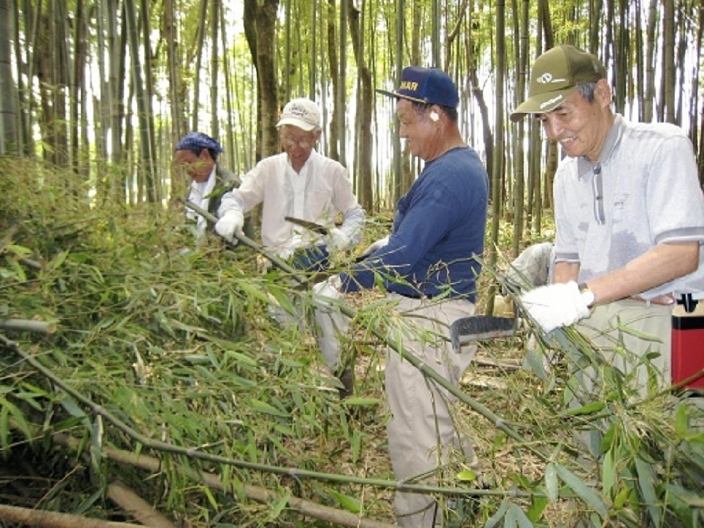 Wise Club members thinning dense bamboo with people working to maintain bamboo groves   Shiga Waiizu Club    Members of the  Waiizu Club  work hard at bamboo thinning and other volunteer activities to preserve bamboo forests  Takatsuki Town, Shiga Prefecture  Members of the  Waiizu Club  work hard at bamboo thinning and other volunteer activities to preserve bamboo forests by cutting down dead bamboo and thinning out dense bamboo  Takatsuki Town, Shiga Prefecture  2009 Photo taken on June 27, 2009, published in the July 28, 2009 morning edition of the Waisu Page