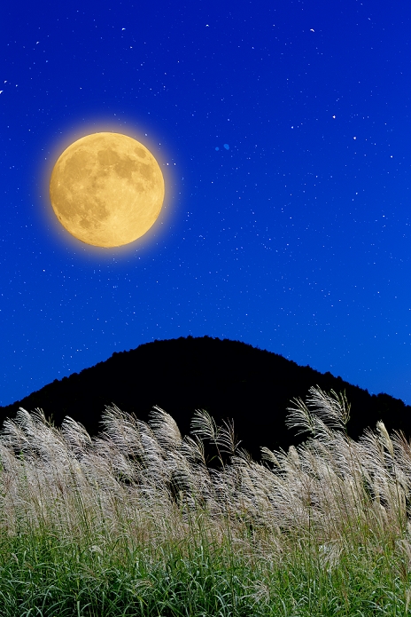 Moon and Silver Grass