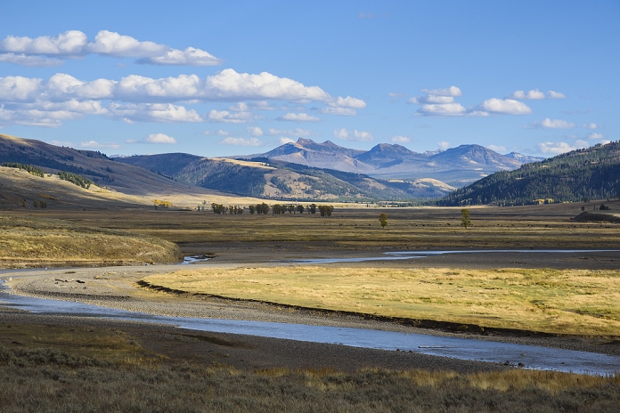 United States of America Lamar Valley, Yellowstone National Park, UNESCO World Heritage Site, Wyoming, United States of America, North America, Photo by Gary Cook