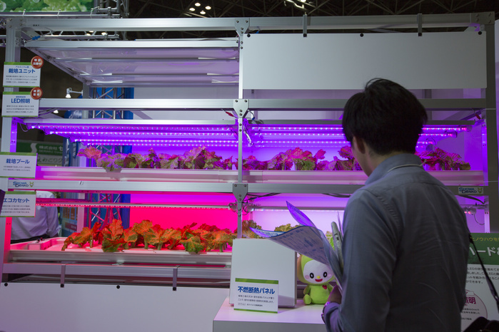 Smart Community 2016 Introducing next generation technologies and infrastructure Tokyo, Japan, June 17, 2016   A visitor looks at LED lighting used for agriculture during the Smart Community Japan 2016 in Tokyo on Friday, June 17, 2016. The Smart Community Japan expo showcases the latest technology related to new generation energy, reforms in the energy market, biomass, plant factory and smart agriculture and renewable energy.  Photo by AFLO 