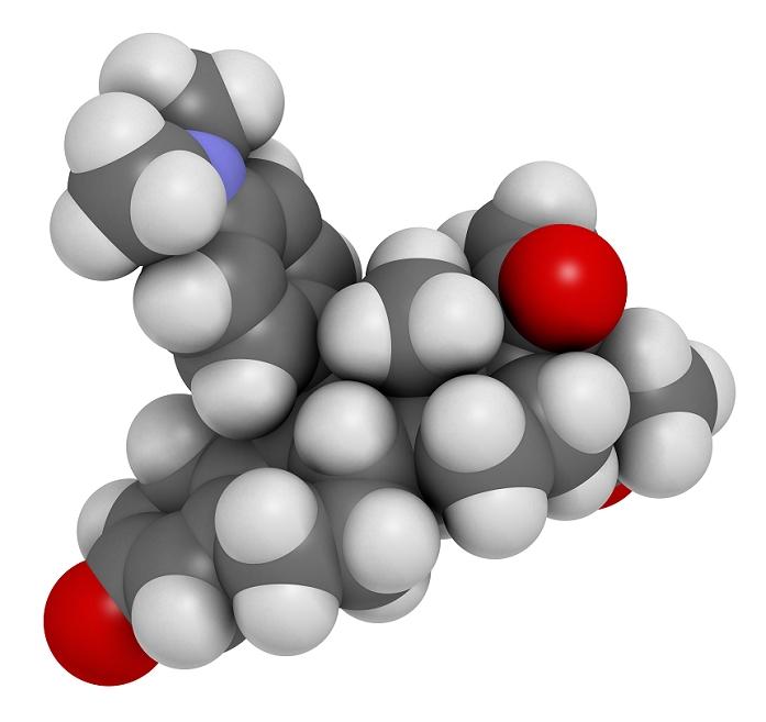 Ulipristal acetate contraceptive drug molecule. Used in emergency contraception tablets (morning-after pill). Atoms are represented as spheres and are colour coded: hydrogen (white), carbon (grey), oxygen (red), nitrogen (blue). Illustration.