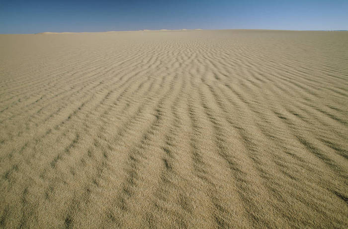 Tenere Desert