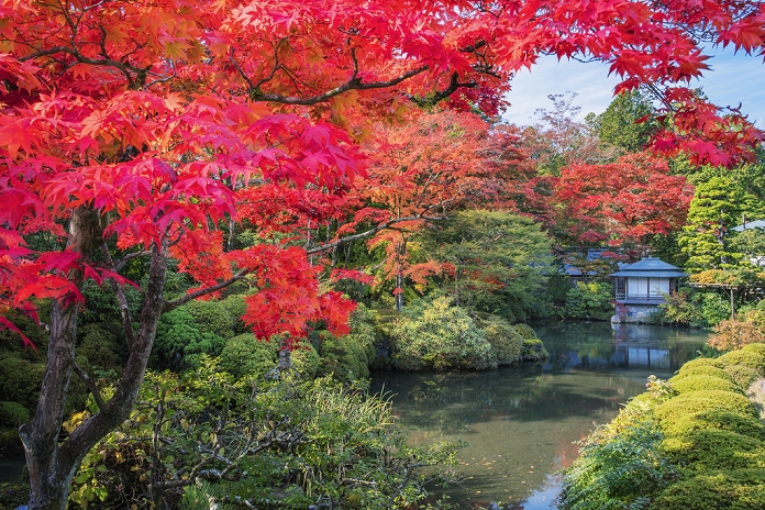 Shoyoen of autumn leaves at Rinnoji Temple, Nikkozan, Tochigi
