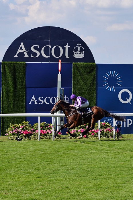 English G1 King George 2016. Highland Reel won Highland Reel  Ryan Moore Ryan Moore , JULY 23, 2016   Horse Racing : Highland Reel ridden by Ryan Moore wins the King George Vl and Queen Elizabeth Stakes at Ascot Racecourse in Ascot, Berkshire, England.