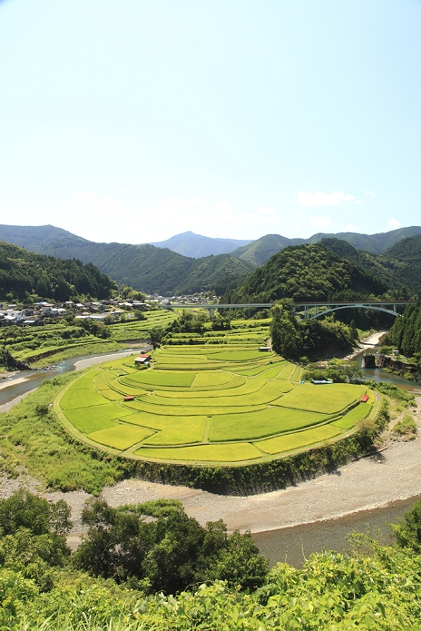 Terraced rice paddies on Aragi Island, Wakayama Prefecture