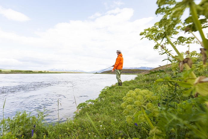 Man fly fishing on the river Horga, North Iceland.