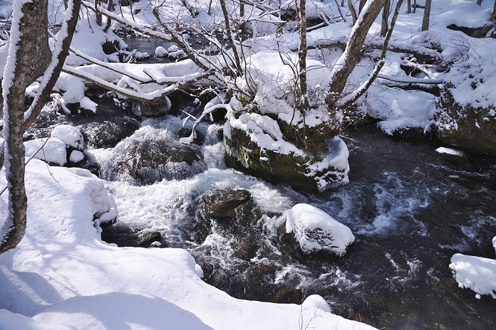 Winter at Oirase Keiryuu, Aomori Prefecture